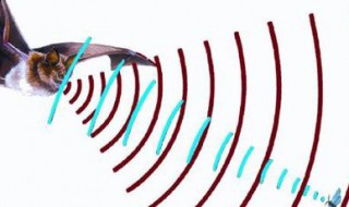 超声波的意思 名称解释