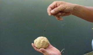 包食钓法 应该怎么做