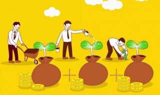 公司期权和股权的区别在哪里 期权和股权的区别是什么