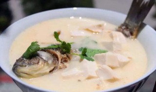 鲫鱼汤奶白的秘诀 教你奶白色鲫鱼汤的小窍门