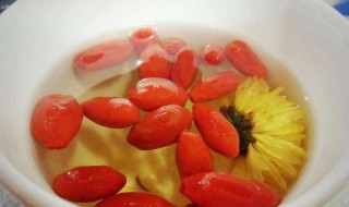 在家如何种植枸杞子 还可以这样的啊