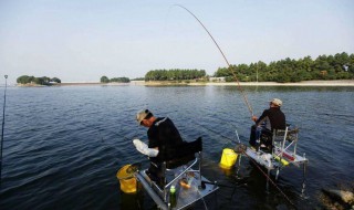 钓鱼饵料配方大全 想钓什么就钓什么