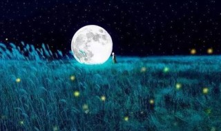 美到心碎的散文 爱情文学著作推荐