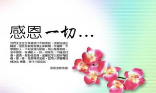 感恩遇见的句子 简短唯美