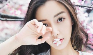 杨颖个人简历 杨颖简述