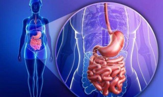 启脾丸的功效和用途介绍 用法用量也需了解