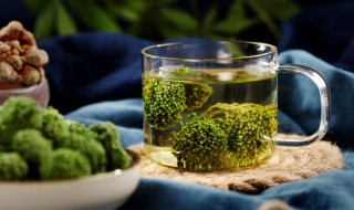 三七花泡水喝的害处 弊大于利