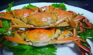 梭子蟹死了怎么保存 梭子蟹死了的保存方法