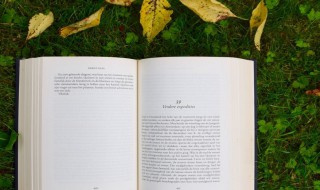 同甘共苦的经典句子 同甘共苦的经典句子有什么