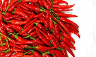 辣椒营养价值及功效 辣椒营养价值及功效是什么