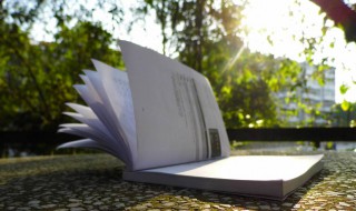 环境描写的优美句子 环境描写的优美句子有什么