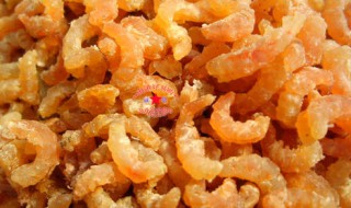 新鲜虾米怎么保存不变质 新鲜虾米保存不变质的方法