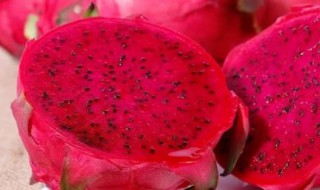 火龙果怎么保存的 火龙果保存技巧