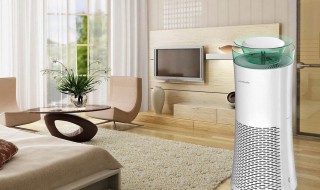 如何空气净化 空气净化的7个小技巧