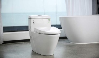 清洗马桶最简单的方法 清洗马桶的小妙招