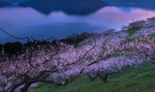 青岛十大网红景点 青岛十大网红打卡圣地