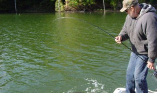 秋季钓鱼的技巧和方法 秋季钓鱼的技巧介绍