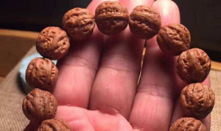 桃核水培方法 桃核的种植方法