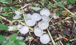 除冰雹的方法 冰雹如何预防