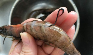 淡水虾怎么挑虾线 虾线能吃吗