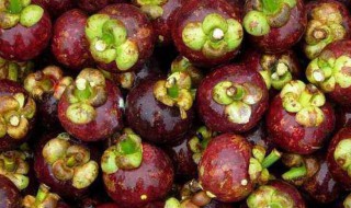 如何买到好山竹 买到好山竹的方法