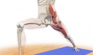 髋部是哪里 髋关节位置在哪