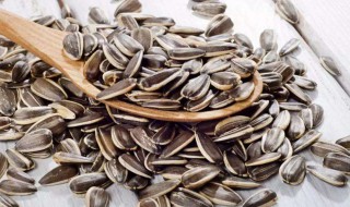 瓜子潮了怎么办 瓜子受潮怎么处理