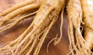 晾干的人参怎么保存 晾干的人参保存方法