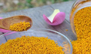 花粉怎么收集保存 保存的时候要注意什么