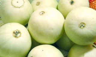 香瓜怎么保存久 香瓜保存方法