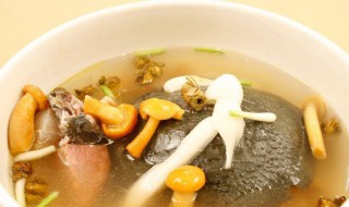 甲鱼炖汤怎么做 清炖甲鱼汤的方法