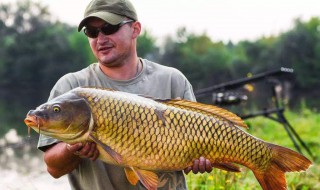 大的鲤鱼怎么做 具体有什么制作步骤