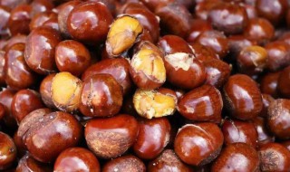 夏天板栗怎么做 夏天板栗的做法