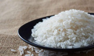 包装大米怎么保存不生虫子 保存大米不生虫子的方法