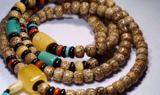 星月菩提怎么盘 怎么盘玩星月呢