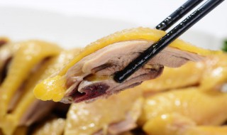 白煮鸡的做法 白煮鸡的做法介绍