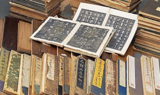 殆在文言文中的意思 在哪里诗句中可以看到