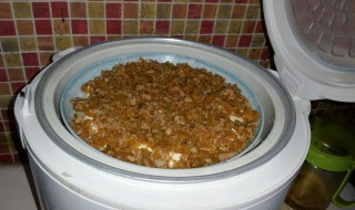 肉末煮饭怎么做 肉末煮饭的做法