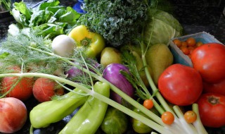 小孩该吃什么补充营养 这些都能补充营养