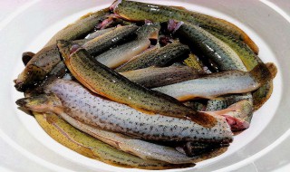 泥鳅怎么处理啊 泥鳅的处理方法