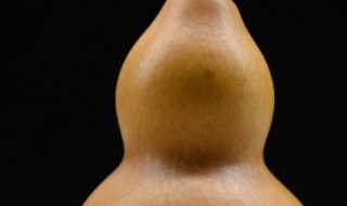 种特大葫芦方法 种植葫芦的3个步骤