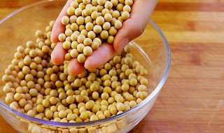 老坛豆豉怎么做 老坛豆豉的做法