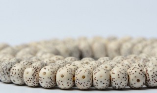 星月菩提怎么选择 这些因素可供参考