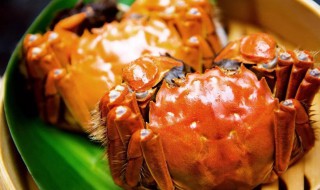 九月份怎么挑螃蟹 螃蟹如何挑选