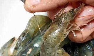 教你一招3秒去虾线 去虾线的小窍门