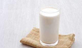 吃海螺能喝牛奶吗 会造成什么伤害呢