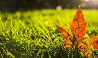 十一月份是秋天还是冬天 十一月份是秋天