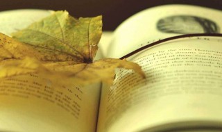 海内存知己天涯若比邻表达的意思 海内存知己天涯若比邻表达的意思简述