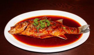 红烧鲈鱼的家常做法 家常红烧鲈鱼做法介绍