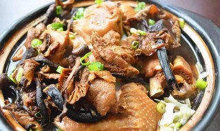小鸡炖蘑菇怎么炖 小鸡炖蘑菇方法介绍